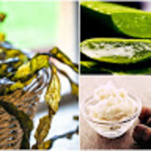 Meet your Posher, Shae